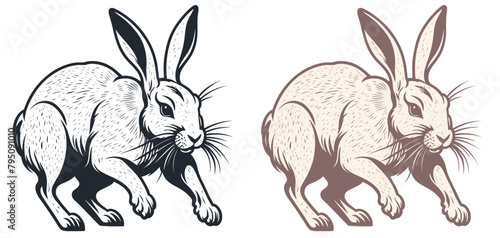 Wild hare, vector illustration