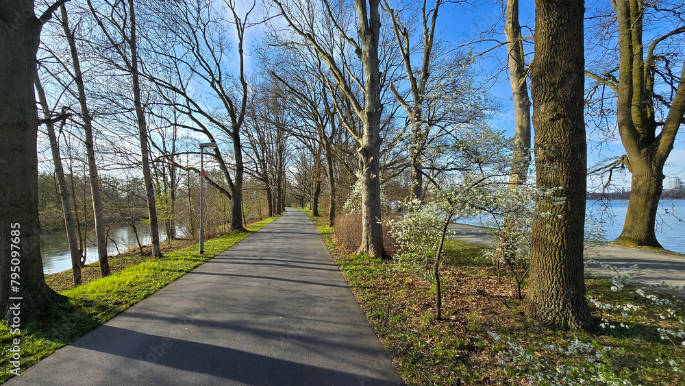 A treelined path through grass leads to a serene body of water Maschsee Hanover