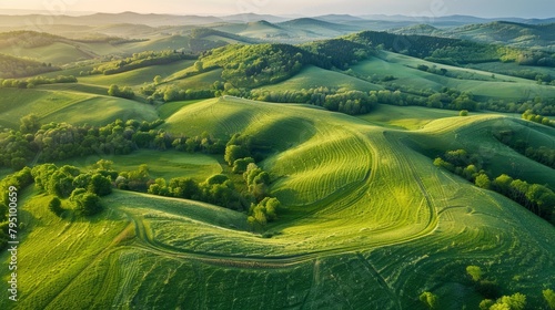 Aerial view of rolling hills and meadows covered in vibrant green foliag