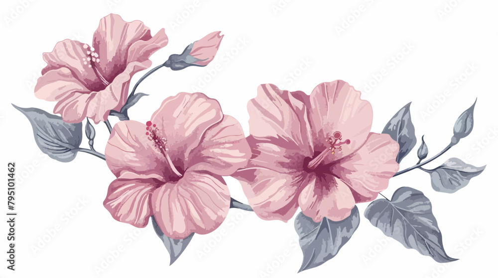 Hand drawn illustration with pink Chinese Hibiscus 