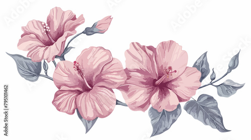Hand drawn illustration with pink Chinese Hibiscus 