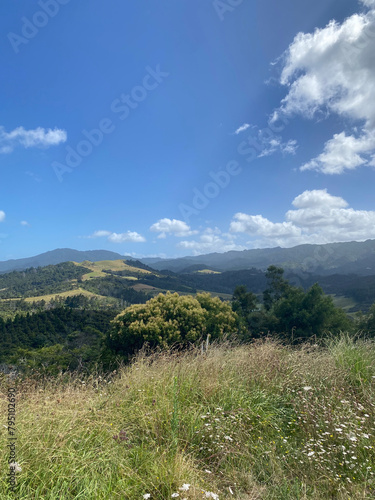 landscape with blue sky