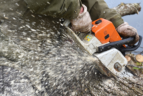 Bäume schneiden mit der Kettensäge