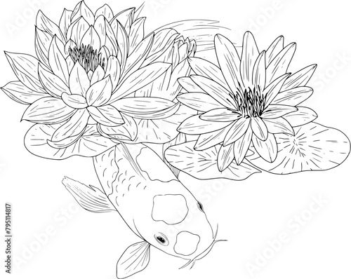 Hand drawn water lilies and koi carp