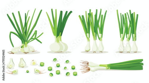 Scallion green spring onions. Fresh sibies stems photo