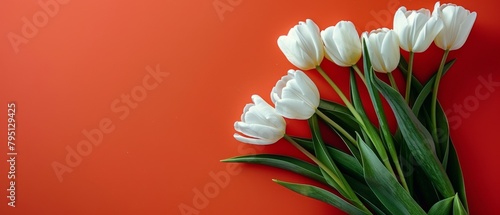 Bouquet of White Tulips on Orange Background
