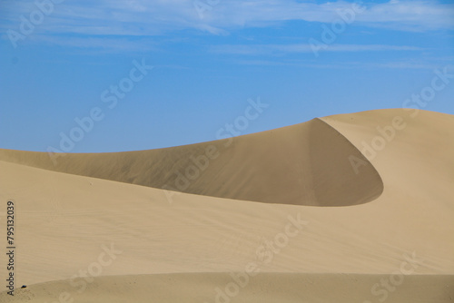 sand dunes in the desert