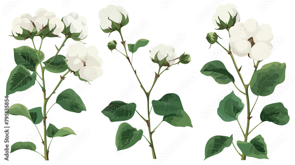 Set of Four raw cotton branches leaves bolls and flowers