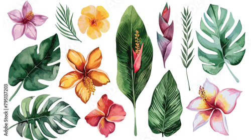 Set of tropical flowers and leaves.
