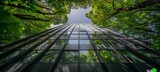 Sustainable glass office building with tree in modern urban environment for eco friendly practices