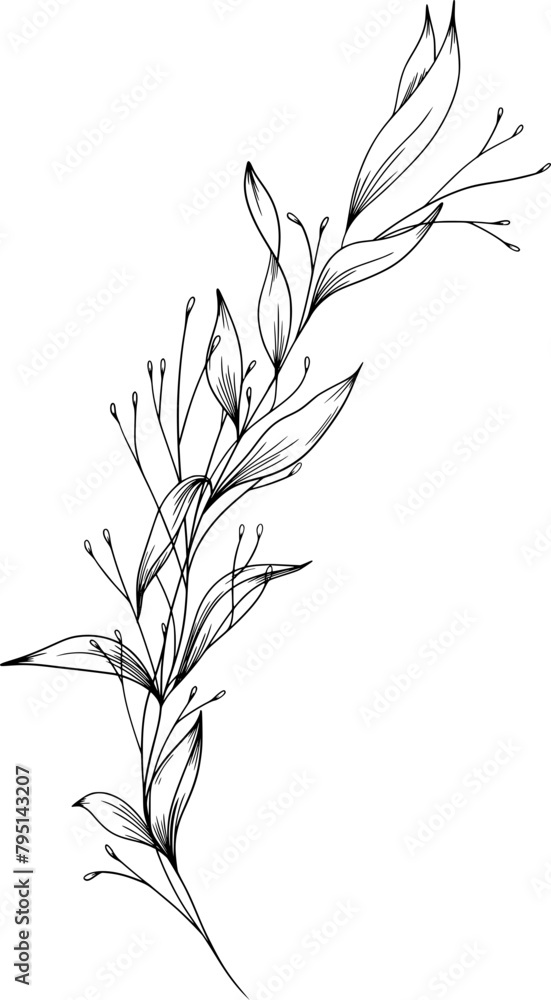 Naklejka premium Hand drawn Leaves on a single branch with buds