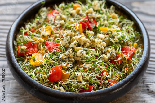 Close up view of alfalfa sprouts and roasted capsicum salad with cashew nut and herbs dressing. Healthy lifestyle concept. 