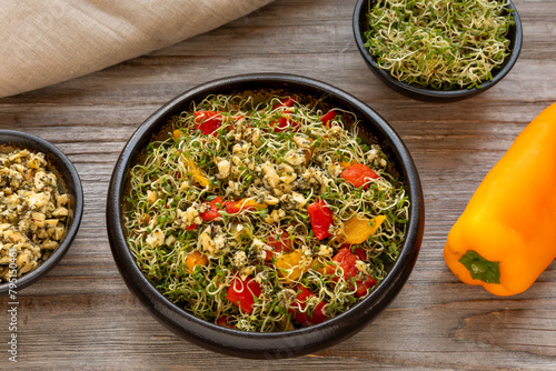 Alfalfa sprouts and roasted romano peppers salad. On the side, alfalfa sprouts and cashew nut dressing in small bowls, and romano yellow pepper. Healthy lifestyle concept. 