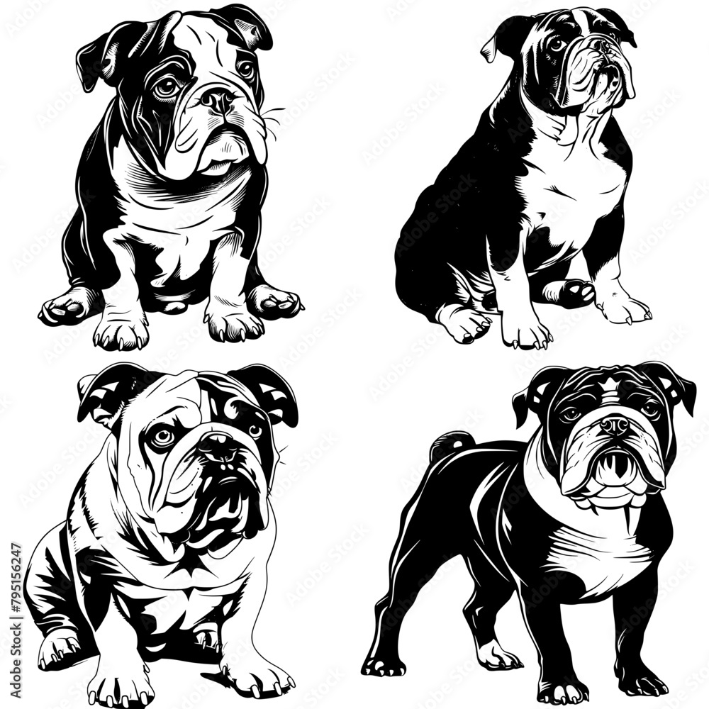 four vector images of a bulldog