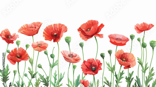 Beautiful red poppy flowers on white background Vector