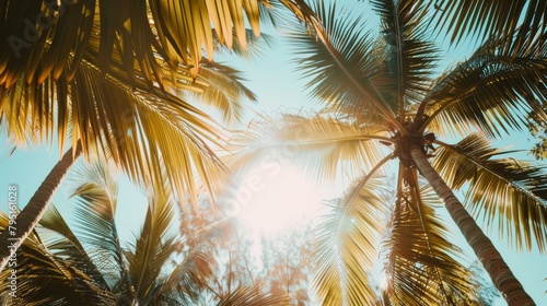 The golden hour sunlight filters through the tropical palm fronds, casting a warm glow over an island escape.