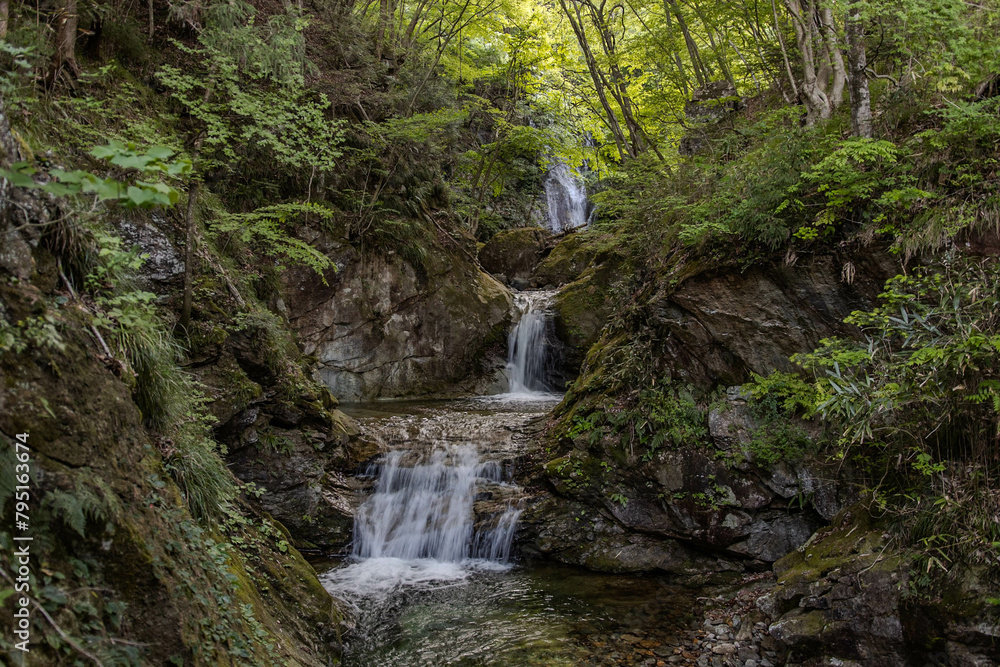 waterfall in the forest waterfall in the forest