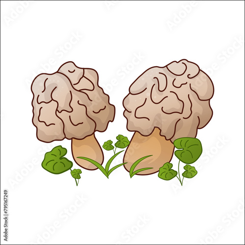 Morel edible mushroom vector isolated illustration. Theme of plants, botanists in cartoon. Design element for theme forest mushrooms, menu, ingredients, recipes, organic products, etc.