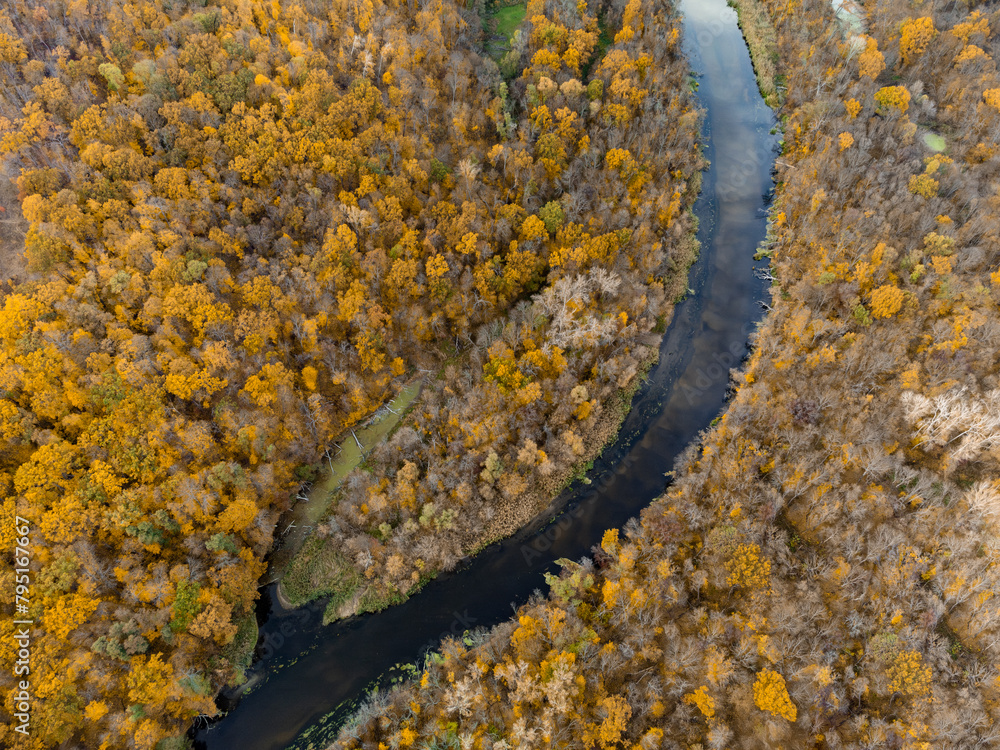 Autumn aerial look down on river valley with yellow wooded riverbanks. Autumnal nature with blue water surface