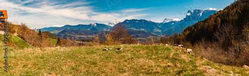 High resolution stitched alpine winter panorama with the dolomites in the background near Klobenstein, Ritten, Eisacktal valley, South Tyrol, Italy