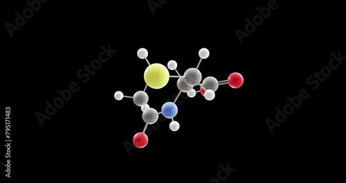 Acetylcysteine molecule, rotating 3D model of n-acetylcysteine, looped video on a black background photo