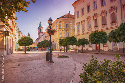 City centre in Szekesfehervar,Hungary.Summer season
