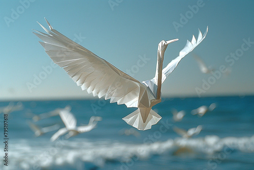 seagull flying in the sky