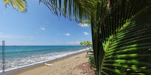 Palm beach on the Pacific  Costa Rica