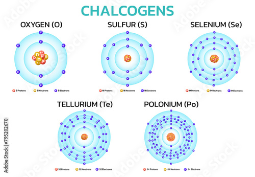 chalcogens elements on the periodic table. Information for learning chemistry