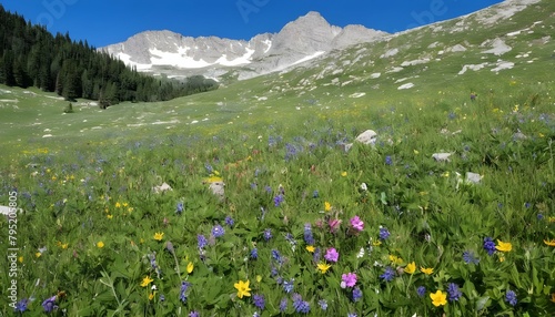 A tranquil alpine meadow blanketed in wildflowers upscaled 5