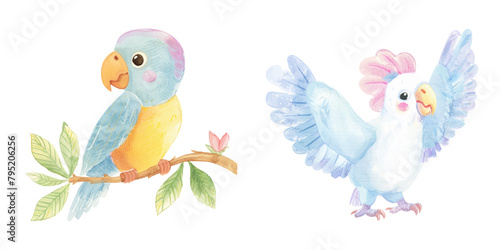 cute parrot watercolor vector illustration © Finkha