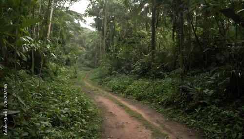 A dirt track winding through dense jungle undergro upscaled 2