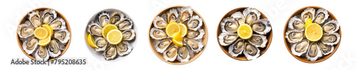 A row of oysters with lemon slices on top Set of png elements.
