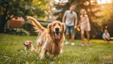 A family smiling golden retriever dog on the grass behind the house. A beautiful family has fun with their faithful pedigree dog outside in their summer backyard.