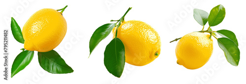 Three lemons with green leaves on a white background Set of png elements.