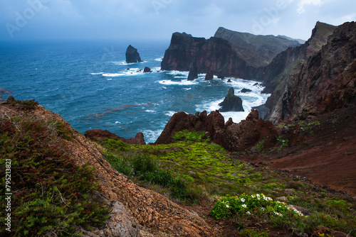Ponta de Sao Lourenco with wild flowers and cliffs at Atlantic Ocean. Madeira, Portugal.