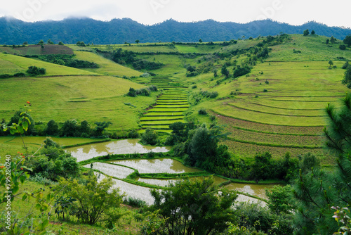 Paisaje de agricultura y campos de arroz en las montañas de Kalaw, Myanmar photo