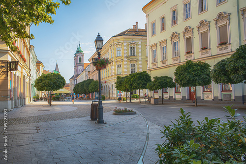 City centre in Szekesfehervar,Hungary.Summer season