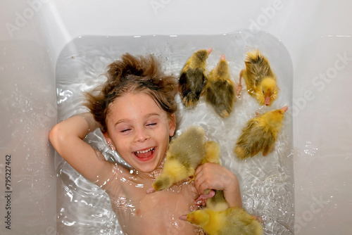 Happy beautiful child, kid, playing with small beautiful ducklings or goslings, cute fluffy yellow animal birds in bathtub