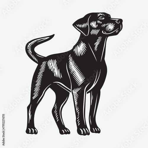 vector  isolated black silhouette of a dog  collection. Dogs collection. Vector illustration of funny different breeds dogs in trendy flat style. Isolated on white.