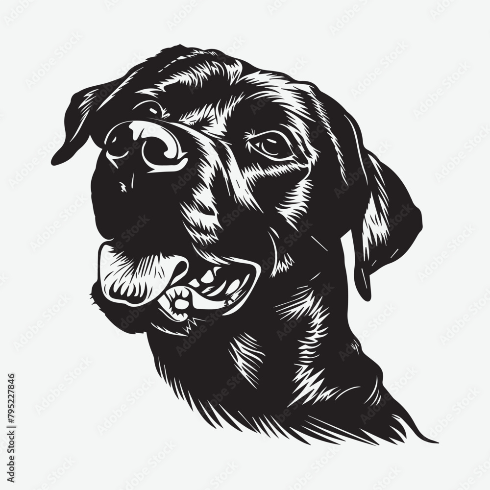 vector, isolated black silhouette of a dog, collection. Dogs collection. Vector illustration of funny different breeds dogs in trendy flat style. Isolated on white. vector, isolated black silhouette of a dog, collection. Dogs collection. Vector illustration of funny different breeds dogs in trendy flat style. Isolated on white.