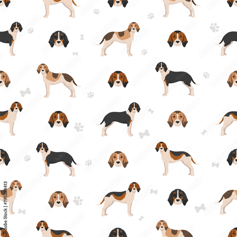Medium sized Anglo-French hound seamless pattern. Different poses, coat colors set