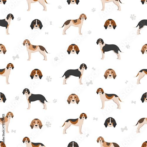 Medium sized Anglo-French hound seamless pattern. Different poses, coat colors set