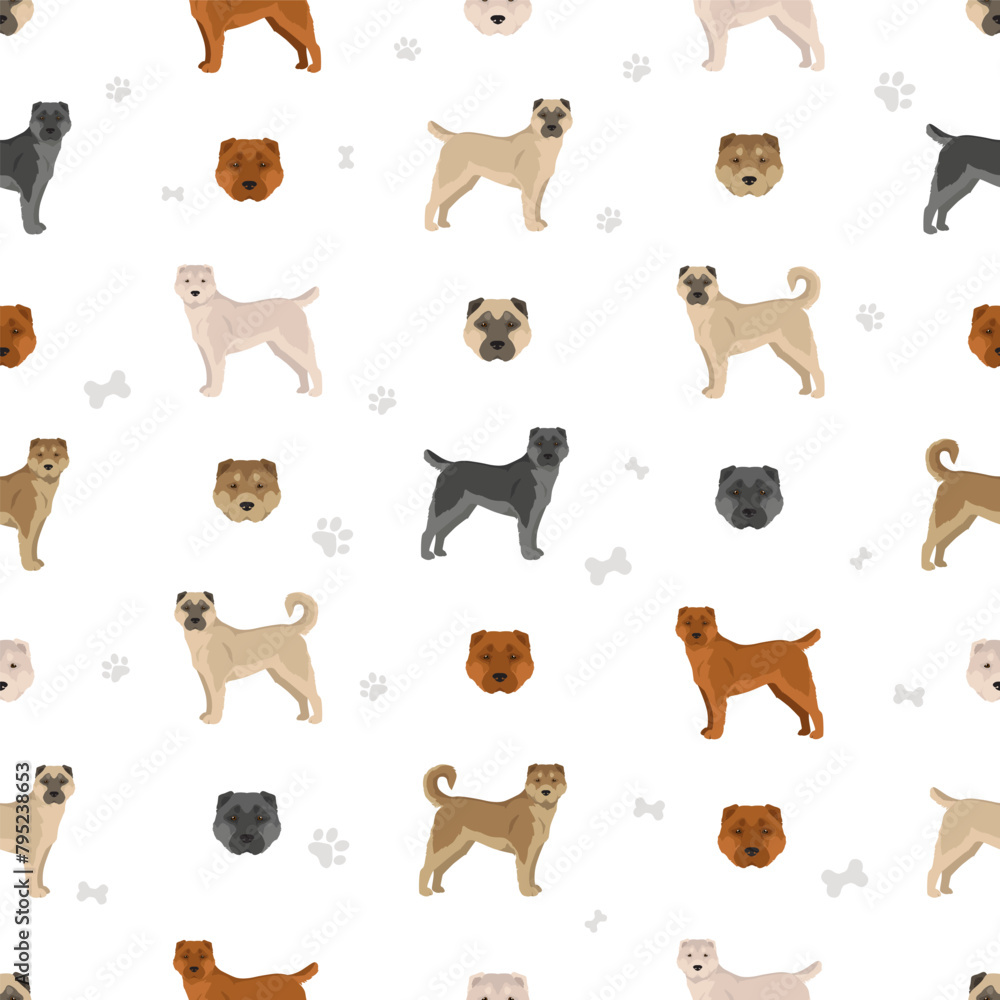 Armenian Gampe dog seamless pattern. Different poses, coat colors set