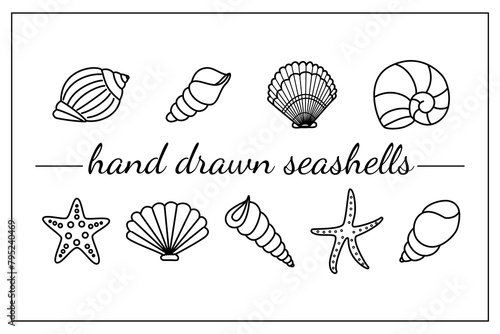 Hand drawn Seashell silhouettes. Marine shells icons. Rapana seashells, Starfish, round shell of urchin. Marine life, ocean mollusks