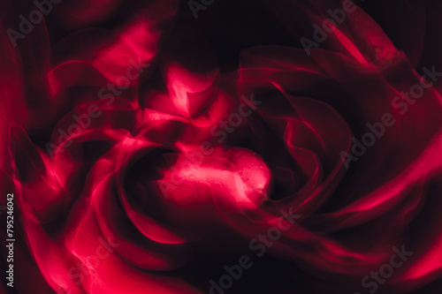red rose background