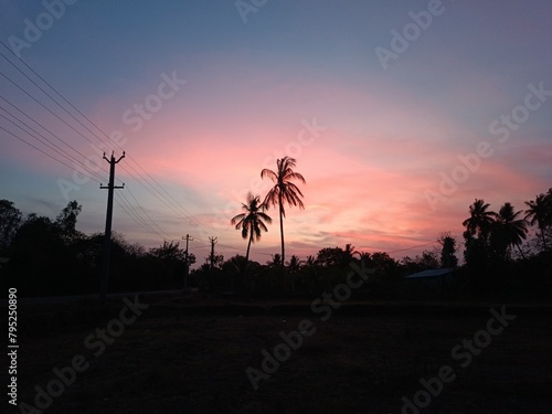 Sunset silhouette photography for palm trees
