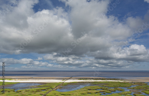 Salt Marsh with with shell limestone at coast of Stufhusen,Eiderstedt Peninsula,North Sea,North Frisia,Wattenmeer,Germany photo