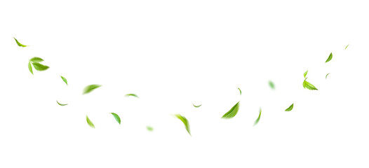 Green Floating Leaves Flying Leaves Green Leaf Dancing, Air Purifier Atmosphere Simple Main Picture.