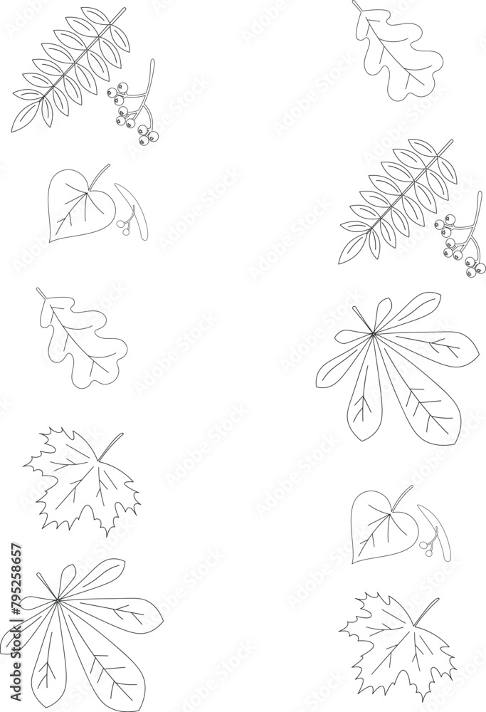 Autumn matching activity for children. Simple educational game for kids with leaves. Printable black and white worksheet. Find the same leaves.